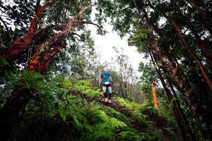 BIB: 
                            <button type="button" onclick="openModal(26202190)" class="btn btn-primary btn-sm float-right btn-popup" data-toggle="modal" data-target=".modal-high-quality">
                        <i class="fas fa-shopping-cart"></i> Add to Cart
                    </button>
                                            <button type="button" onclick="isThisMe(26202190, true)" class="btn btn-success btn-sm float-right btn-popup btn-isme hidden" data-toggle="tooltip" data-placement="bottom" title="นี่คือรูปของคุณใช่ไหม คลิกที่นี่เพื่อเอาเข้าอัลบั้ม">
                        <i class="fas fa-plus"></i> Add to album
                    </button>
                    <button type="button" onclick="isThisMe(26202190, false)" class="btn btn-warning btn-sm float-right btn-popup btn-isnotme hidden">
                        <i class="fas fa-ban"></i> Remove from album
                    </button>